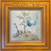 Montgomery