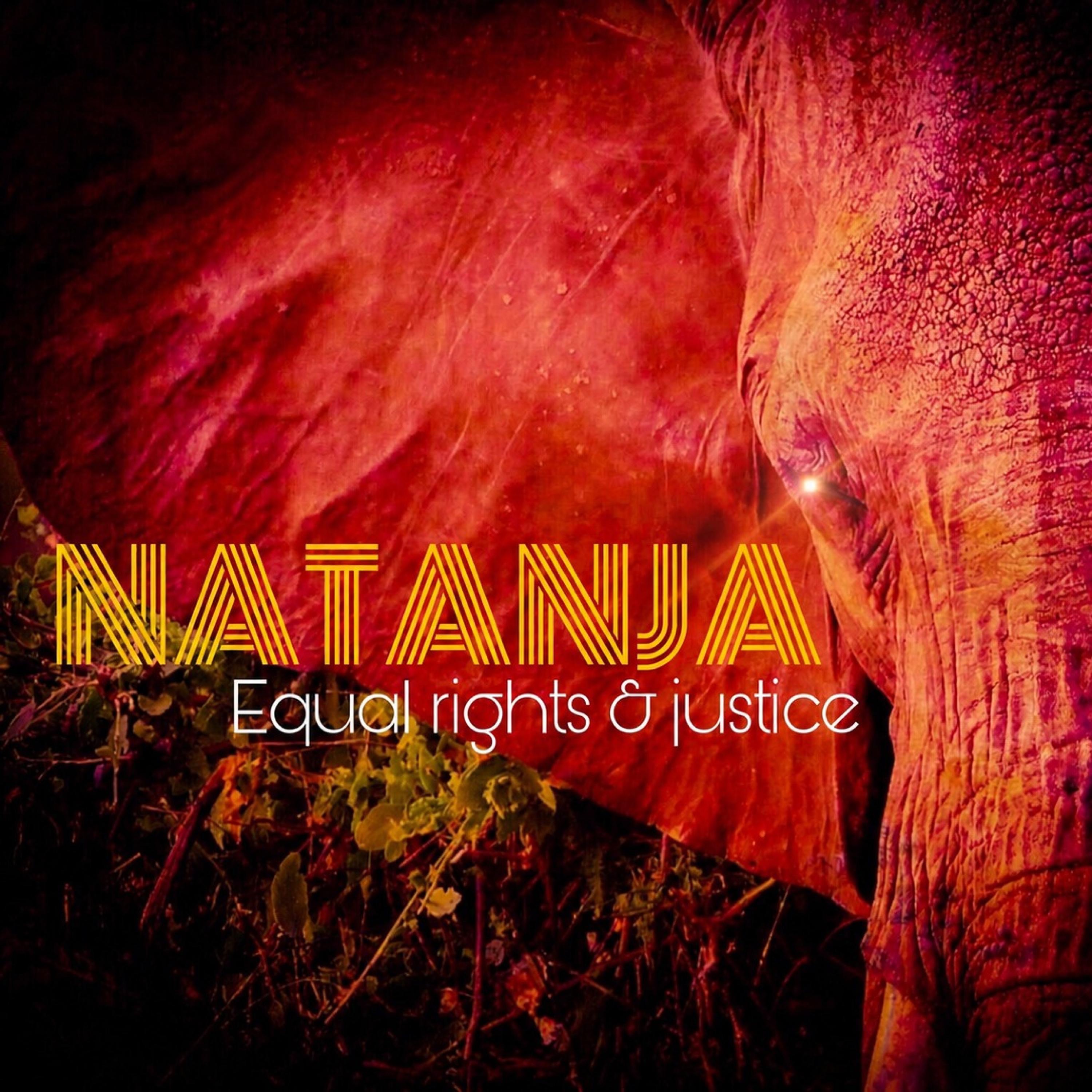 Equal Rights & Justice - Single