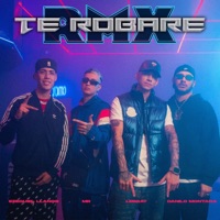 Te Robare (Remix) [feat. MR] - Single - Lebray, EZEQUIEL LLANOS & Danilo Montana
