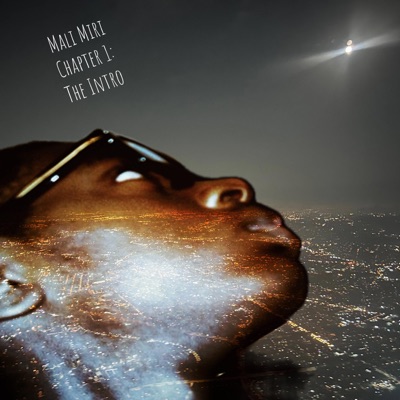 Chapter 1 : The Intro