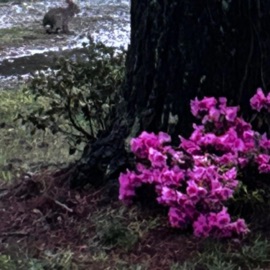 For nothing (feat. Kynlary, Royal & violet) invain