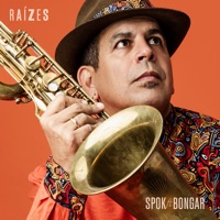 Raízes - Single - Spok & Grupo Bongar