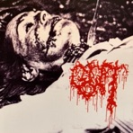 Corroded In Bestialized And Gorefying Wormjizz - Single