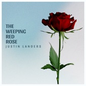 The Weeping Red Rose artwork