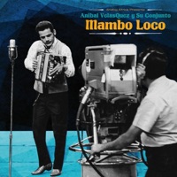 MAMBO LOCO