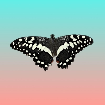 Serendipity - Single