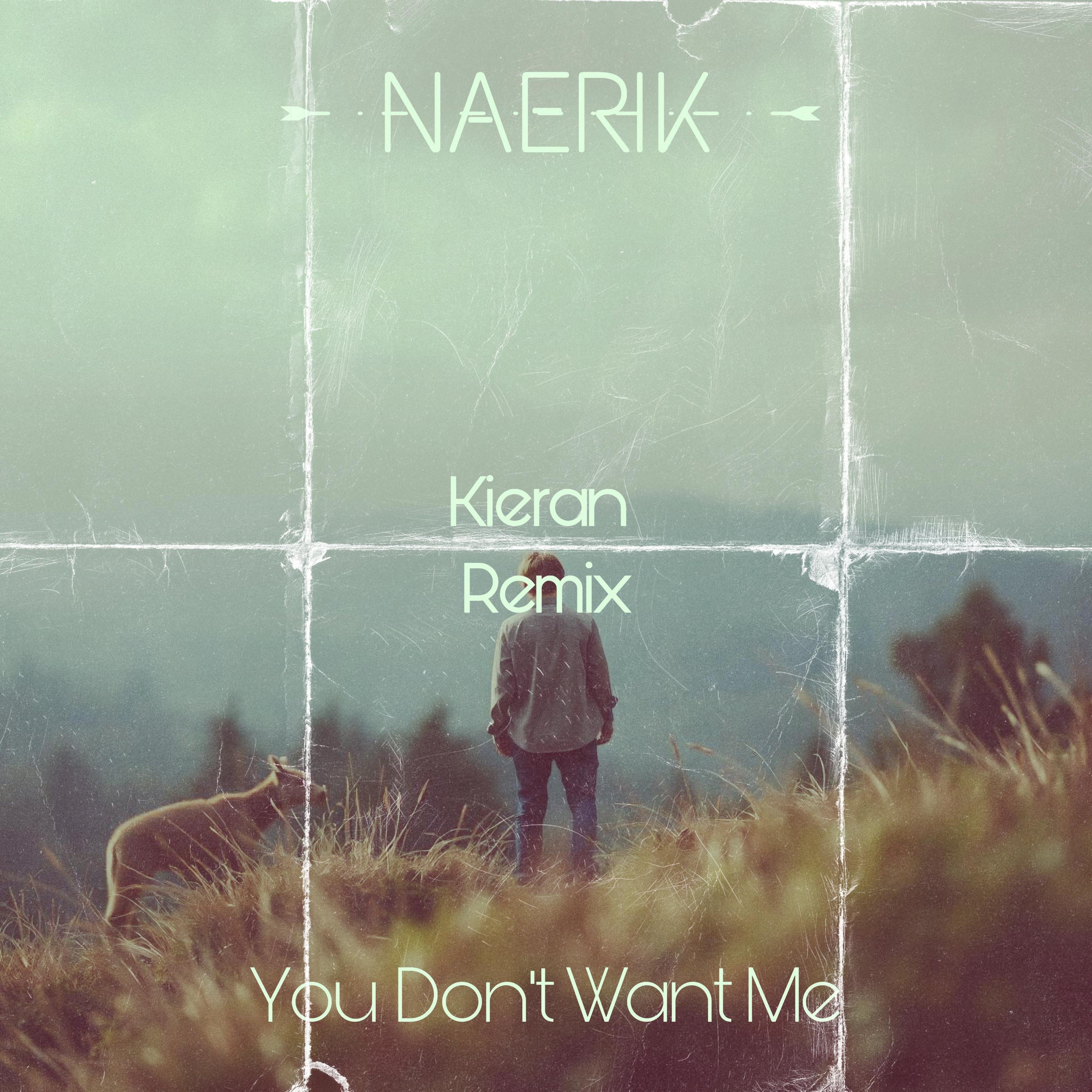 You Don't Want Me (Kieran Remix) - Single