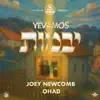Thank You Hashem, Joey Newcomb & Ohad Moshkowitz - Yevamos - יבמות
