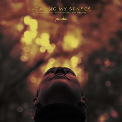 Healing My Senses (Live & Improvised) (feat. Vybeshift) [Live] - Single
