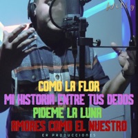 COMO LA FLOR, MI HISTORIA ENTRE TUS DEDOS, PIDEME LA LUNA, AMORES COMO EL NUESTRO - Single - La Doble V