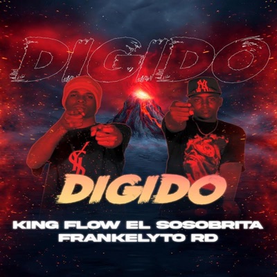 Digido (feat. KING Flow el sosobrita & Frankelyto Rd) - Single