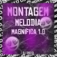 Montagem Melodia Magnífica 1.0 - Single - DJ SNGXD