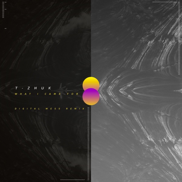 What I Came For - Single