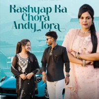 Kashyap Ka Chora Andy Tora (feat. Jaiveer thakur) - Single - Vipin Nagla