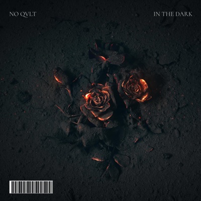 In The Dark - Single