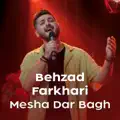 Mesha Dar Bagh   