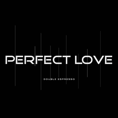 Perfect Love - Single