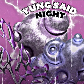 Night (feat. Kara Deri) Yung Said