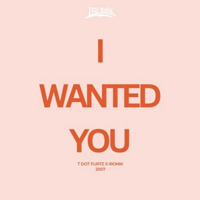 I Wanted You (Remix) [feat. T dot Flirtz] - Single