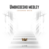 Lusanda Beja - Umbhedesho Medley (Live) - EP artwork
