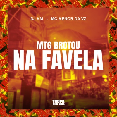Mtg Brotou na Favela - Single