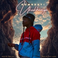 Ukukhanya - Single - Nomndayi