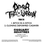 Promo 2011 - Single