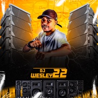 Putaria Criminosa da Baixada - Single - DJ Wesley 22