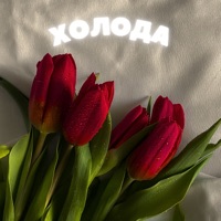 Холода - Single - БРАТСССКИИ & Bazar Jackson