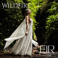 Wildfire - Single - EIR