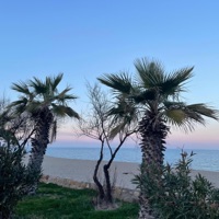 THANKS FOR ALL - Single - many