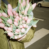 Warme Nacht - Single - Klya