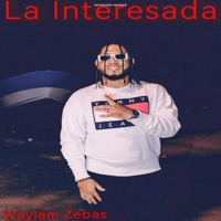 La Interesada - Single - Waylam Zebas & Krolh Music