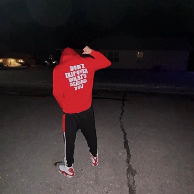 fucc da pen (feat. TZO) - Single