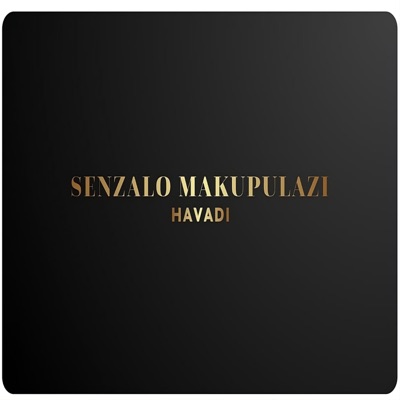 Havadi - Single
