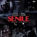 Senile (feat. Jamal) - Single