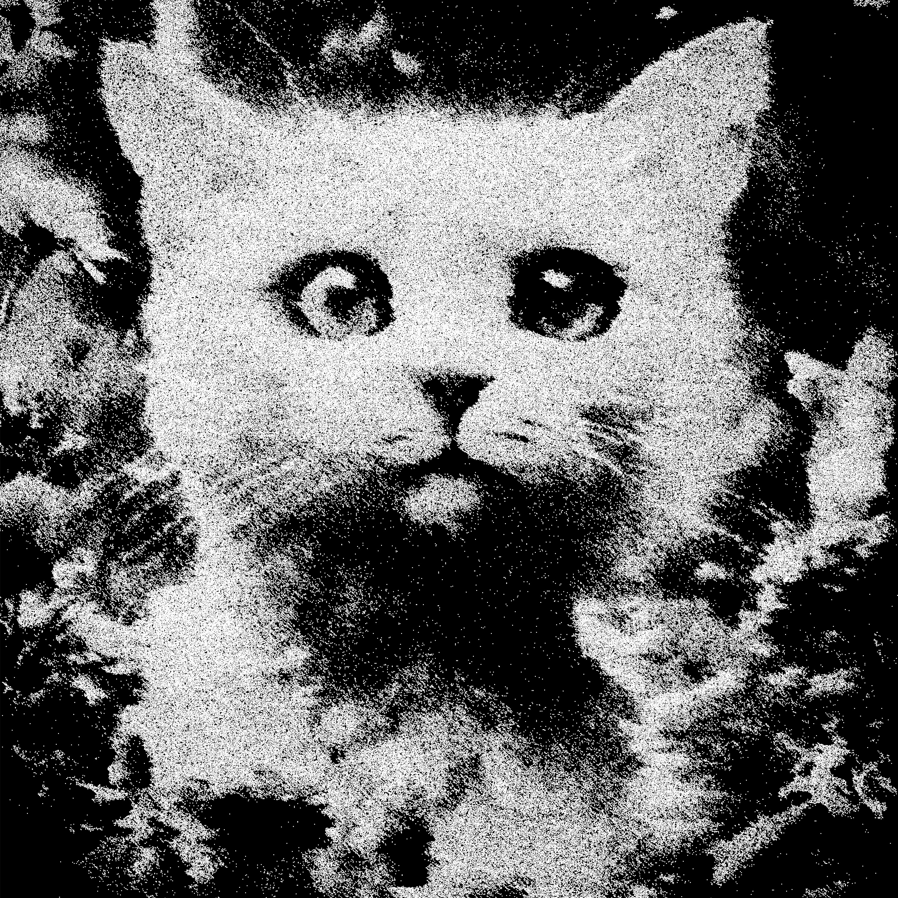 Cyber Logos: Na Hrane Belie