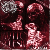 Rotten Flesh (feat. Helli) - Single - Heavy Strezz