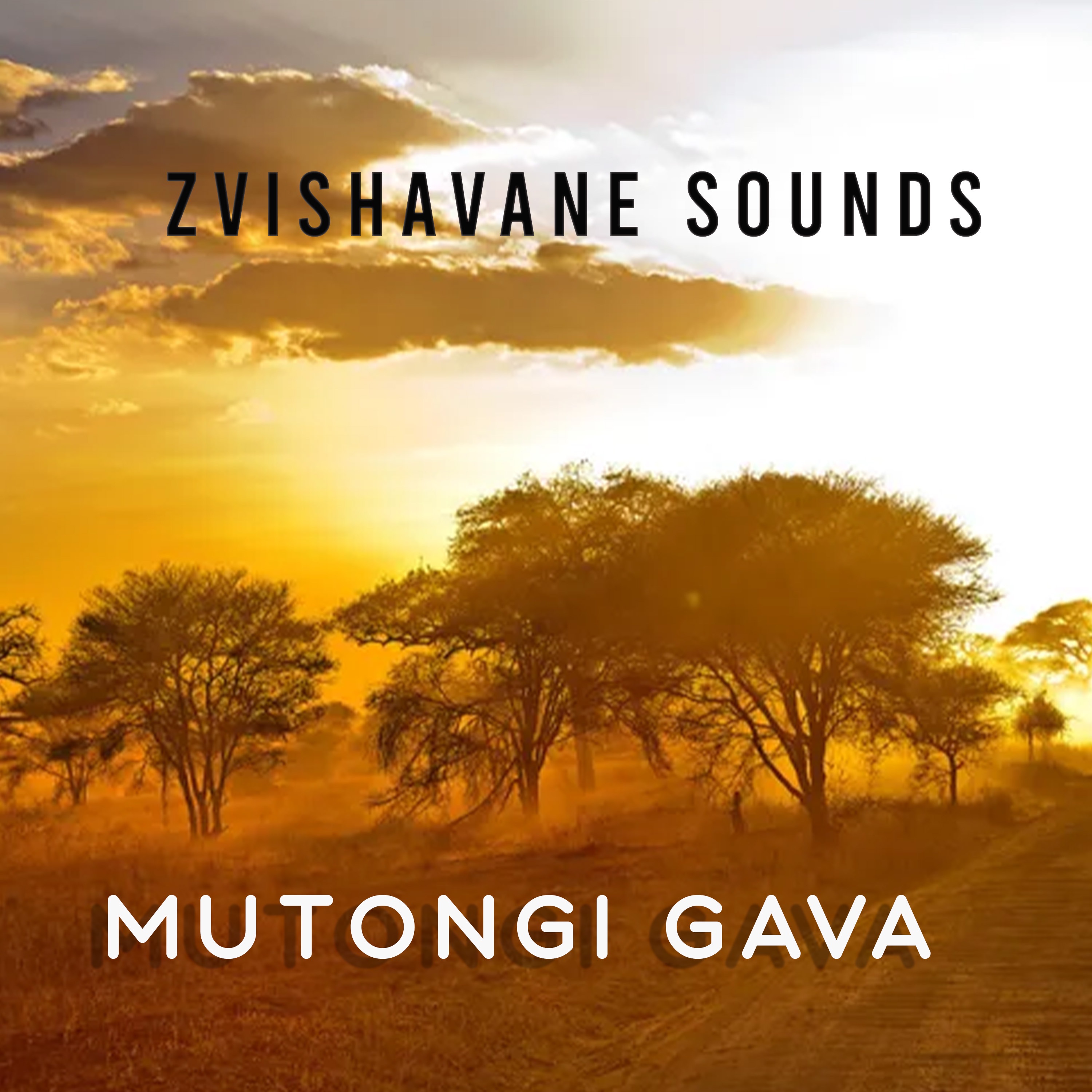 Mutongi Gava