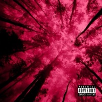 had enough - Single - Seyin