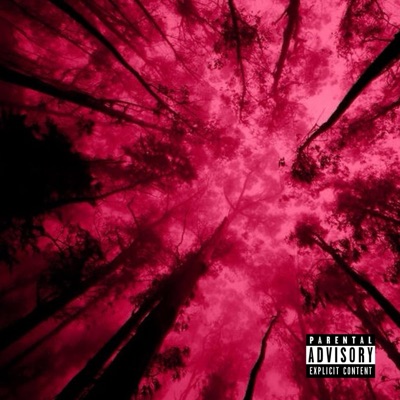 had enough - Single