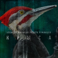 Крыса - Single - Алексей Пыльная Радуга Румянцев
