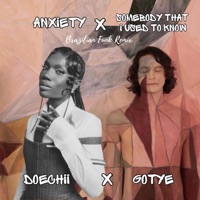 Anxiety x Somebody That I Used to Know - Single - Dj Tangerina