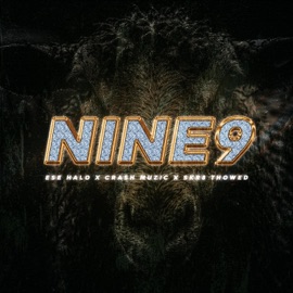 Nine 9 (feat. Crash Muzic) Ese Halo
