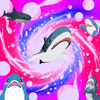 WIDEMOUTH HOWIE VS THE WORLD DELUXE