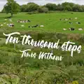 Ten thousand steps