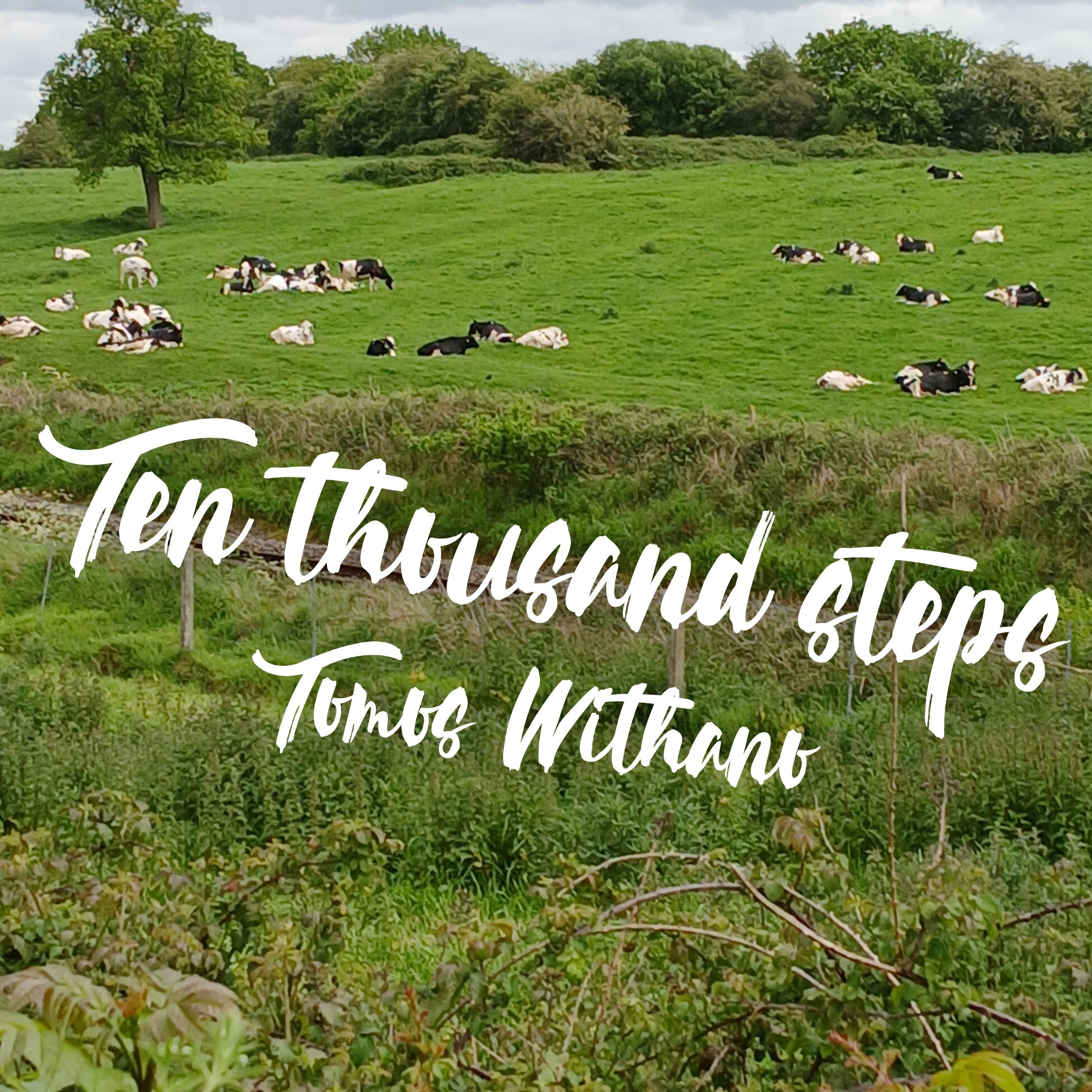 Ten thousand steps - Single
