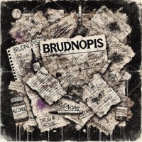 BRUDNOPIS - Kapitalny & Ledzwior