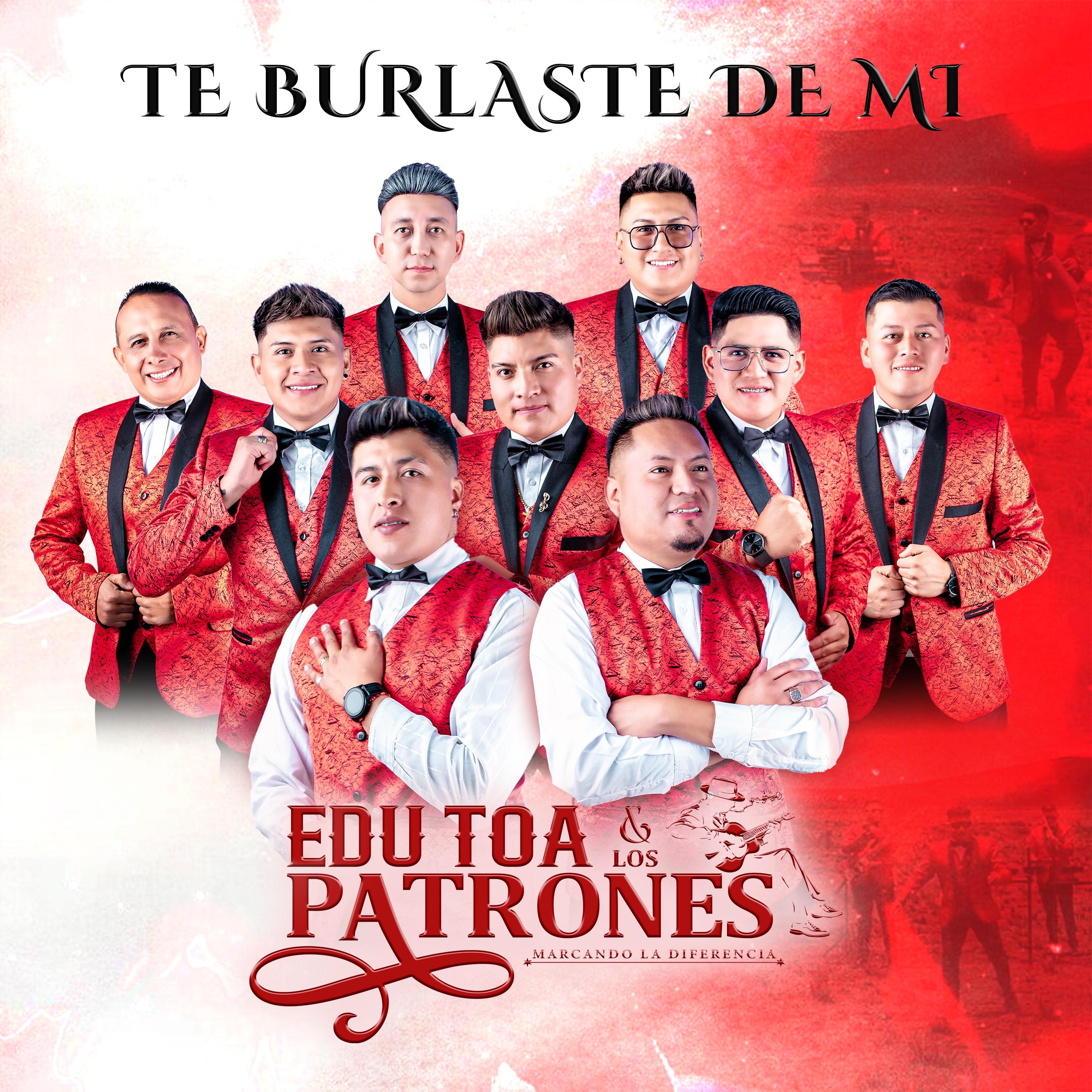 Te Burlaste de Mi - Single
