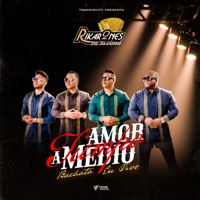 Amor a Medio Tiempo (Bachata) [En Vivo] - Single - Rikar2nes